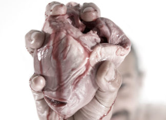 Organs fund Terror