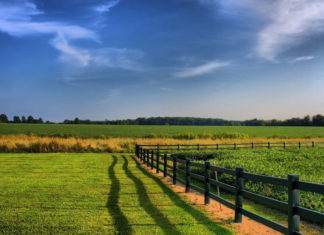 28 Things Every Red-Blooded American Should Own – 1