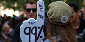 Occupy Protester